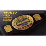 画像: チャンピオンベルトOST250：ボクシング・空手・プロレス・格闘技・の大会に使用可能なチャンピオンベルト