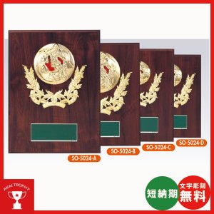 画像: SO5024：名入れ・文字彫刻無料・優秀選手賞・殊勲賞・ＭＶＰなどに、オススメのサッカー用の楯 表彰楯