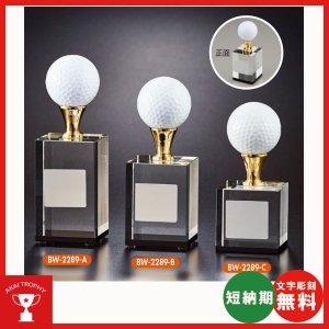 画像: ホールインワン用ブロンズ BW2289:ホールインワンの記念ボールを飾れる記念品 記念クリスタルブロンズトロフィー