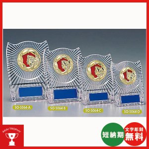 画像: SO5064：名入れ・文字彫刻無料・大量購入や、大会の参加賞や、低予算時に格安な表彰楯　優勝楯