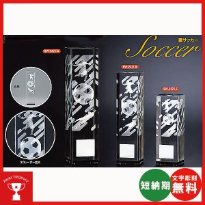 画像1: BT-2321　卒業記念・少年サッカー・サッカー大会オススメのサッカー用ブロンズトロフィー