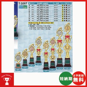 画像1: T-3097：サッカー・野球・バスケットボール・剣道・テニスなどに各種大会に使用していただけるレリーフ交換式トロフィー