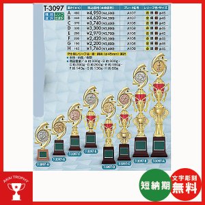 画像: T-3097：サッカー・野球・バスケットボール・剣道・テニスなどに各種大会に使用していただけるレリーフ交換式トロフィー