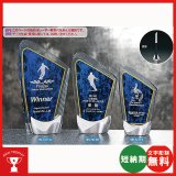 画像: 表彰楯　SHL-7211：勤続表彰・企業表彰・代理店表彰・周年記念・表彰用品にオススメのレーザー彫刻表彰楯