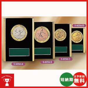 画像1: S6056：サッカー・野球・バスケットボール・剣道・テニスなどに各種大会に使用していただけるレリーフ交換式トロフィー
