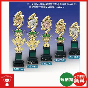 画像1: T-3102：サッカー・野球・バスケットボール・剣道・テニスなどに各種大会に使用していただけるレリーフ交換式トロフィー
