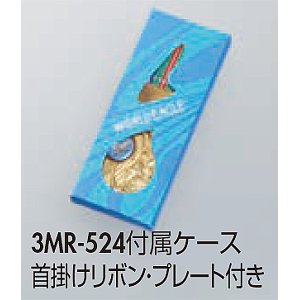 画像2: 一般メダル 3MR-524(紙ケース入り)：サッカー・野球・バスケットボール・剣道・テニスなどに各種大会に使用していただけるアクリルマーク(Φ22mm)を交換できるメダル