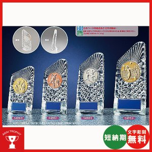 画像1: S6018：サッカー・野球・バスケットボール・剣道・テニスなどに各種大会に使用していただけるレリーフ交換式楯