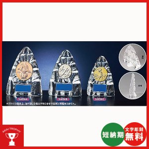 画像1: S6024：サッカー・野球・バスケットボール・剣道・テニスなどに各種大会に使用していただけるレリーフ交換式楯