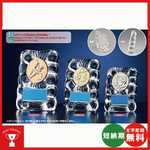 画像: S6021：サッカー・野球・バスケットボール・剣道・テニスなどに各種大会に使用していただけるレリーフ交換式楯