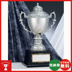 画像1: RS-8301：ペナントの付けて持ち回りに使用できる豪華な高級優勝カップ