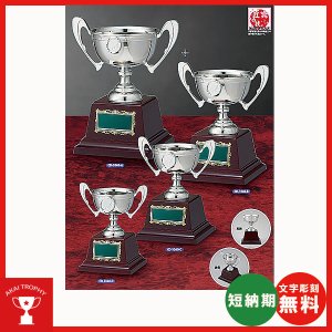 画像1: CD-1040：野球・空手・ゴルフ・サッカー・全ジャンルに優勝杯・優勝カップ