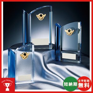 画像: CM-337 クリスタル楯 社内表彰・企業表彰・周年記念・コンテスト用に高級感あるガラス製記念品・クリスタル楯
