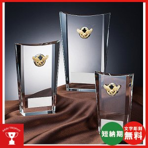 画像1: CM-388 クリスタル楯 社内表彰・企業表彰・周年記念・コンテスト用に高級感あるガラス製記念品・クリスタル楯
