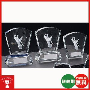 画像1: CM413 クリスタル楯 社内表彰・企業表彰・周年記念・コンテスト用に高級感あるガラス製記念品・クリスタル楯