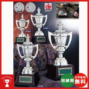画像1: CA-1033：野球・空手・ゴルフ・サッカー・全ジャンルに優勝杯・優勝カップ