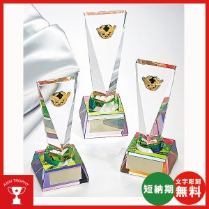 画像1: CM-422 オプティカルガラス楯　レインボー加工