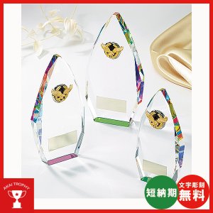 画像: CM-423 オプティカルガラス楯 レインボー加工