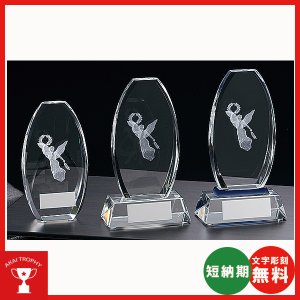 画像1: CM411 クリスタル楯 社内表彰・企業表彰・周年記念・コンテスト用に高級感あるガラス製記念品・クリスタル楯