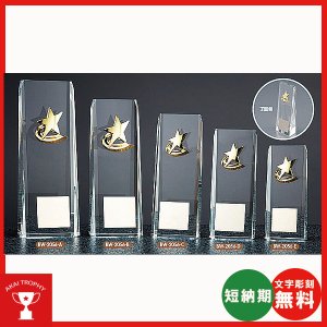 画像1: BW-2056　光学ガラス　クリスタル楯 　表彰楯・企業表彰・周年記念・コンテスト用に高級感あるガラス製記念品
