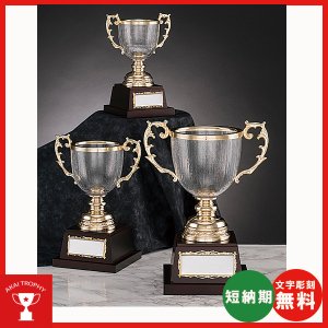 画像1: CG-7514　クリスタルカップ　 社内表彰・企業表彰・永年勤続表彰・大会用に。高級感あるガラス製トロフィー・クリスタルトロフィー