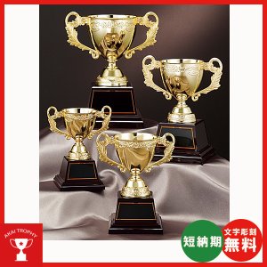 画像1: AG-9690：野球・空手・ゴルフ・サッカー・全ジャンルに優勝杯・優勝カップ