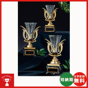 画像1: 格安カップ　CP-4501：大量購入や、大会の参加賞や、低予算時に格安な優勝杯・優勝カップ