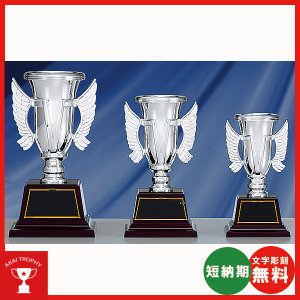画像1: 格安カップ　CP-4402：大量購入や、大会の参加賞や、低予算時に格安な優勝杯・優勝カップ