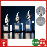 画像: BW-2118 : 優勝・ＭＶＰ・敢闘賞・特別賞・功労賞・優秀選手賞の景品などに用いられる記念ブロンズトロフィー