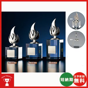 画像1: BW-2118 : 優勝・ＭＶＰ・敢闘賞・特別賞・功労賞・優秀選手賞の景品などに用いられる記念ブロンズトロフィー
