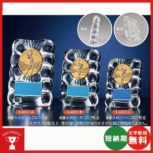 画像1: S-6021：名入れ・文字彫刻無料・ゴルフコンペの記念品、景品にオススメのゴルフ楯 表彰楯