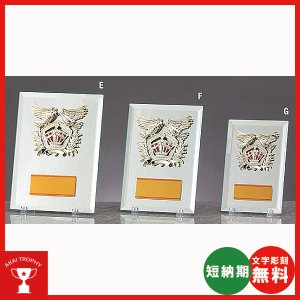 画像1: D-069：名入れ・文字彫刻無料・全大会の入賞者に喜ばれる鏡のキレイな楯  表彰楯