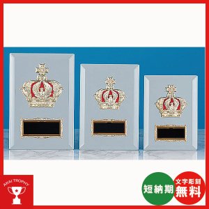 画像1: K-7076：名入れ・文字彫刻無料・全大会の入賞者に喜ばれる鏡のキレイな楯  表彰楯