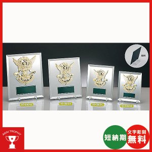 画像: SO-5063:名入れ・文字彫刻無料・全大会の入賞者に喜ばれる鏡のキレイな楯 表彰楯