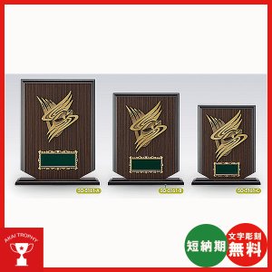 画像1: SO-5161：名入れ・文字彫刻無料・高級楯・全ジャンルの大会に対応、豪華な記念品楯、表彰楯（盾）