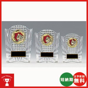 画像1: 格安楯　K-7077：名入れ・文字彫刻無料・大量購入や、大会の参加賞や、低予算時に格安な表彰楯　優勝楯
