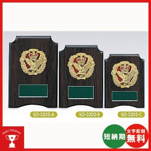 画像1: 格安楯　SO-5202：名入れ・文字彫刻無料・大量購入や、大会の参加賞や、低予算時に格安な表彰楯　優勝楯