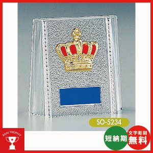 画像1: 格安楯　SO-5234：名入れ・文字彫刻無料・大量購入や、大会の参加賞や、低予算時に格安な表彰楯　優勝楯