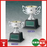 画像: 格安カップ　CT-1067　レジン（樹脂）カップ〈蒸着メッキ加工〉 大量購入や、大会の参加賞や、低予算時に格安な優勝杯・優勝カップ