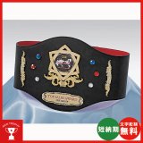 画像: チャンピオンベルトCB-02：ボクシング・空手・プロレス・格闘技・の大会に使用可能なチャンピオンベルト