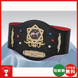画像1: チャンピオンベルトCB-02：ボクシング・空手・プロレス・格闘技・の大会に使用可能なチャンピオンベルト
