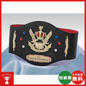 画像1: チャンピオンベルトCB-02：ボクシング・空手・プロレス・格闘技・の大会に使用可能なチャンピオンベルト