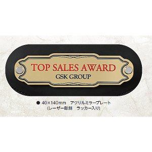 画像2: チャンピオンベルトCB-02：ボクシング・空手・プロレス・格闘技・の大会に使用可能なチャンピオンベルト