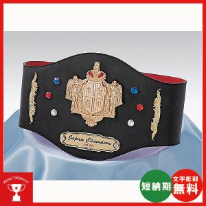 画像1: チャンピオンベルトCB-01：ボクシング・空手・プロレス・格闘技・の大会に使用可能なチャンピオンベルト
