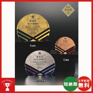 画像: 表彰楯　金箔＋ファインカラーDP　VOS566箔縞：企業表彰・コンテスト・認定書・周年記念・表彰用品にハイセンスで、おしゃれな表彰楯