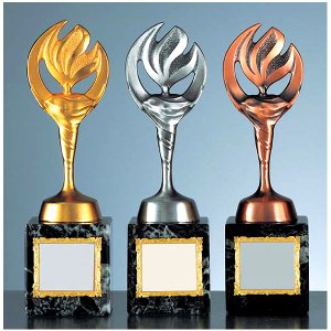 一般ブロンズVT3055画像