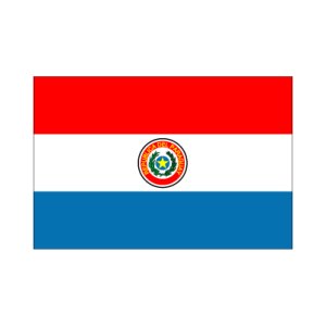 画像1: 卓上旗　パラグアイ