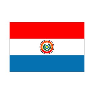 画像: 卓上旗　パラグアイ