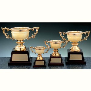 オニックスカップOC1067画像