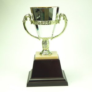 格安カップNo2127画像2